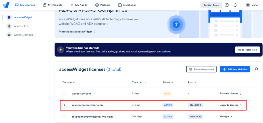 Screenshot of accessWidget licenses